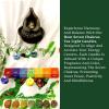 imageHem 7 Chakra Tealight Candles  HandPoured Scented Candles for Chakra Healing ampamp Meditation  LongLasting Vibrant Colors for Mindfulness ampamp Aromatheapy  105cm x 4cm x 16cm 