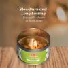 imageRosemary Stress Relief Candle with Crystals  95 Oz Natural Soy Candles Scented  Soft Palo Santo Wood Aroma Protection Candles  Long Lasting 65 hrs Clean Burn Aromatherapy CandleSage Candle for Cleansing