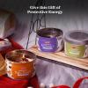 imageRosemary Stress Relief Candle with Crystals  95 Oz Natural Soy Candles Scented  Soft Palo Santo Wood Aroma Protection Candles  Long Lasting 65 hrs Clean Burn Aromatherapy CandleCrystal Candle Gift Set