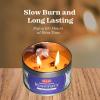 imageRosemary Stress Relief Candle with Crystals  95 Oz Natural Soy Candles Scented  Soft Palo Santo Wood Aroma Protection Candles  Long Lasting 65 hrs Clean Burn Aromatherapy CandleRosemary Candles