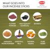 imageCleansing Incense Sticks Variety Pack  6 Masala Insenses  White Sage Incense Lavender Incense Myrrh Incense Copal Incense Mexico ampamp Palo Santo Incense Sticks  Inciensos para Sacar Malas EnergiasWhite Sage