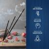 imageHEM  The Moon Incense Sticks  Pack of 6  120 count  301g20 Count Pack of 6