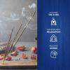 imageHEM Dragons Blood Blue Incense Sticks  Natural Pure House ampamp Flower Powder  Aromatherapy Incense For Air Purifier Cleanness The Aura ampamp Relieving Stress  Gift Set 120 Count Pack of 1