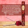 imageHEM assorted best sellers incense sticks pack of 6  120 Sticks Fragrance  Lemongrass Lavender Egyptian Jasmine Ambar Sandalo Opium Eucalyptus6 Unique Fragrances