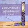 imageHEM assorted best sellers incense sticks pack of 6  120 Sticks Fragrance  Lemongrass Lavender Egyptian Jasmine Ambar Sandalo Opium Eucalyptus6 Unique Fragrances