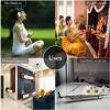 imagePrecious Series Assortment of Six Scents  Total of 12 Boxes 10 Cones Each  HEM Incense From India