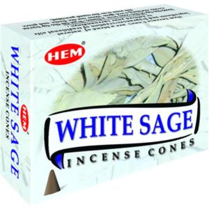 imageWhite sage cones pack of 12 10 cones Each Total 120 cones HEM INCENSE
