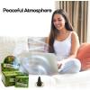 imageHem Forest Pack of 12 Incense Cones Boxes 10 Cones Each Traditionally Handrolled in India Best Natural Fragrance Perfect for Prayers Meditation Yoga Relaxation Peace Positivity Healing Prayers