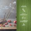 imageHEM White Sage Smudge Premium Incense Sticks  Spiritual Environment Fresh ampamp Long Lasting Fragrance  100 Natural Ingredient  12 Packets in a Box