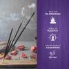 imageAnti Stress  Box of Six 20 Gram Tubes  HEM Incense