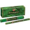 image:imageHem Eucalyptus  20 Stick Hex Tube  Hem Incense