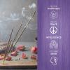 image:imageHEM Vanilla Scented Sticks For Cleansing amp Meditation Incense Sticks  Pack of 6 20 sticks each
