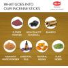 image:imageHEM Fruit Punch Incense Sticks  for Home Freshness Positive Energy amp Meditation  Handcrafted amp Low Smoke  Pack of 120 Sticks  Burning Time 3540 Minutes