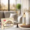 image:imageHEM Copal Incense Cones  Pack of 120 Cones 10 Boxes  Natural LongLasting Aroma for Aromatherapy Cleansing Stress Relief amp Home Fragrance