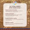 image:imageSacred Elements Palo Santo Incense Sticks10 Pack 9 Long Burning Up to 2 Hours EachHandRolled Organic Incense Stick for MeditationYoga Relaxation amp Home FragranceLow Smoke LongLasting AromaMyrhh