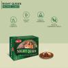 image:imageHem Incense Cones  Natural Aromatic Blend for Purification Protection amp Spiritual Wellness  LongLasting Aroma White Sage Palo SantoDragon Blood SandalwoodFrankincense MyrrhNight Queen