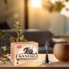 image:imageHem Incense Cones  Natural Aromatic Blend for Purification Protection amp Spiritual Wellness  LongLasting Aroma White Sage Palo SantoDragon Blood SandalwoodFrankincense MyrrhSandalwood