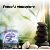 image:imageHem Incense Cones  Natural Aromatic Blend for Purification Protection amp Spiritual Wellness  LongLasting Aroma White Sage Palo SantoDragon Blood SandalwoodFrankincense MyrrhVanilla