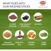 image:imageHem Incense Cones  Natural Aromatic Blend for Purification Protection amp Spiritual Wellness  LongLasting Aroma White Sage Palo SantoDragon Blood SandalwoodFrankincense MyrrhPatchouli