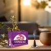 image:imageHem Incense Cones  Natural Aromatic Blend for Purification Protection amp Spiritual Wellness  LongLasting Aroma White Sage Palo SantoDragon Blood SandalwoodFrankincense MyrrhOpium
