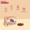 image:imageHem Incense Cones  Natural Aromatic Blend for Purification Protection amp Spiritual Wellness  LongLasting Aroma White Sage Palo SantoDragon Blood SandalwoodFrankincense MyrrhSandalwood