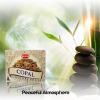 image:imageHem Incense Cones  Natural Aromatic Blend for Purification Protection amp Spiritual Wellness  LongLasting Aroma White Sage Palo SantoDragon Blood SandalwoodFrankincense MyrrhCopal