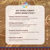 image:imageSacred Elements Organic Incense Cones  Red Rose Scent Pack of 4  Natural Aromatherapy for Relaxation Meditation amp Home Fragrance  Handcrafted Low Smoke LongLasting AromaSandal