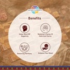 image:imageSacred Elements Organic Incense Cones  Red Rose Scent Pack of 4  Natural Aromatherapy for Relaxation Meditation amp Home Fragrance  Handcrafted Low Smoke LongLasting AromaEucaliptus