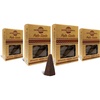 image:imageSacred Elements Organic Incense Cones  Red Rose Scent Pack of 4  Natural Aromatherapy for Relaxation Meditation amp Home Fragrance  Handcrafted Low Smoke LongLasting AromaPalo Santo